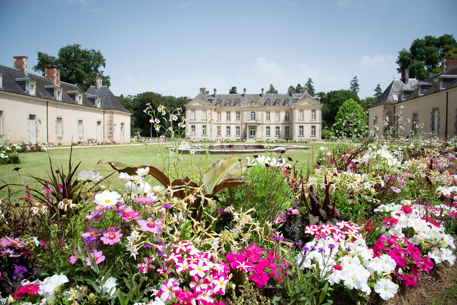 Fleurs avec le château en arrière-plan.