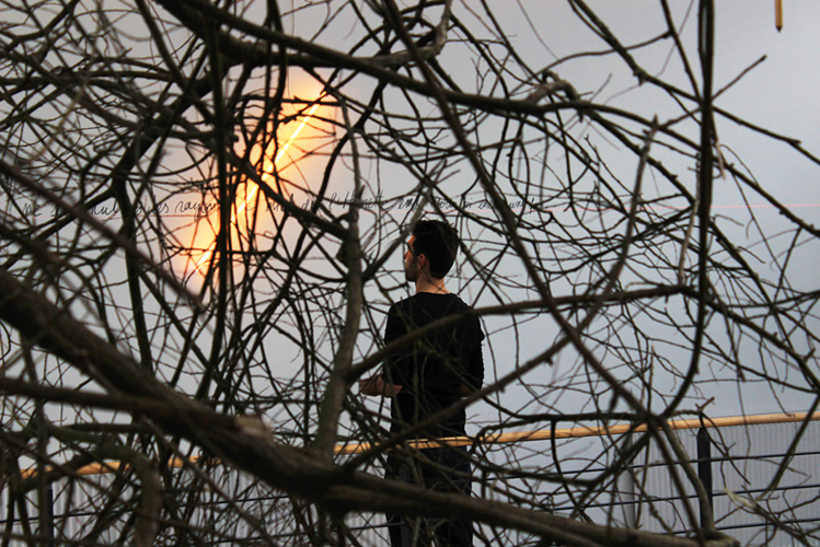 Photo d'un homme de dos regardant une ligne incandescente, derrière un enchevêtrement de branches.