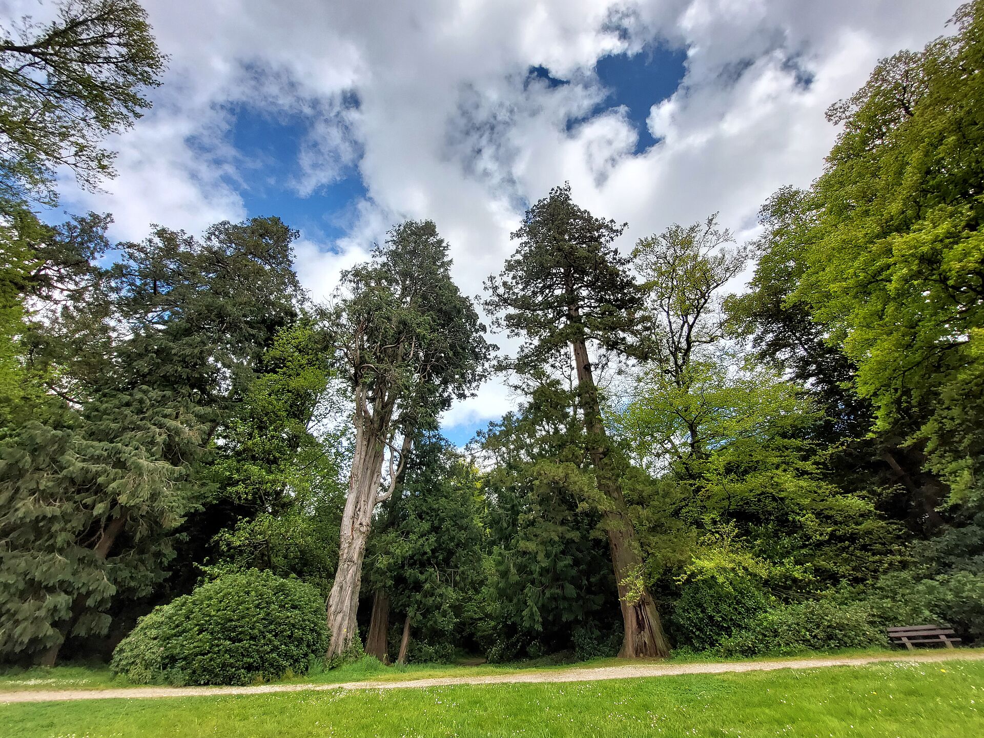 entrée de l'arboretum du domaine