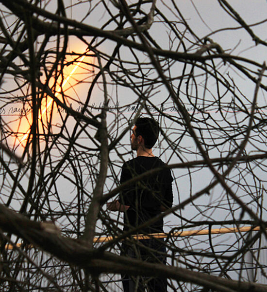 Photo d'un homme de dos regardant une ligne incandescente, derrière un enchevêtrement de branches.