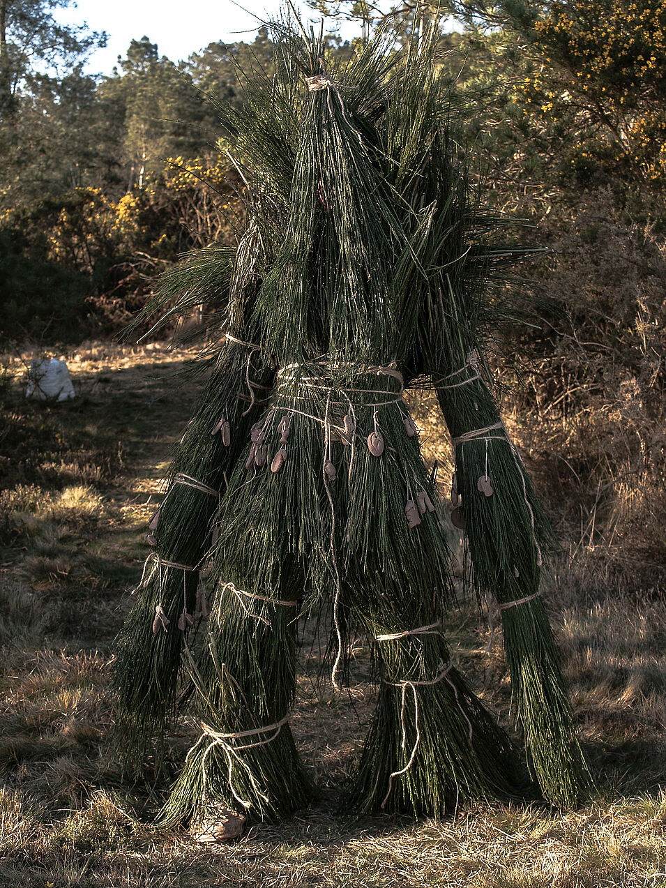 Costume de performance de l'artiste Mérovée Dubois