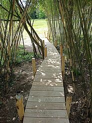 Ponton en bois sinuant entre des bambous et débouchant sur une pelouse enseoleillée.