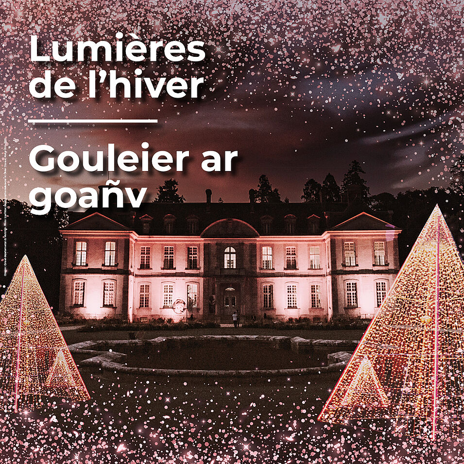 Photo du château illuminé et deux sapins lumineux en premier plan